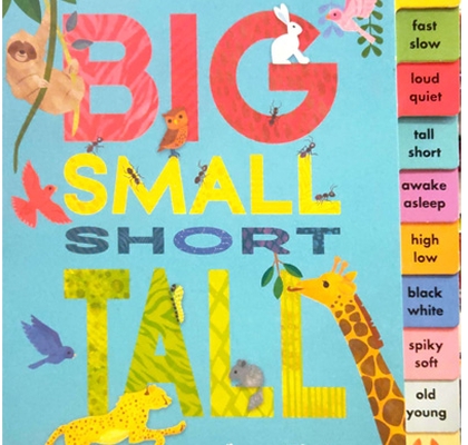 my book of opposites: big small short tall - board book