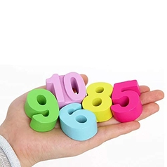 Digital Logarithmic Plate Educational Wooden Toy