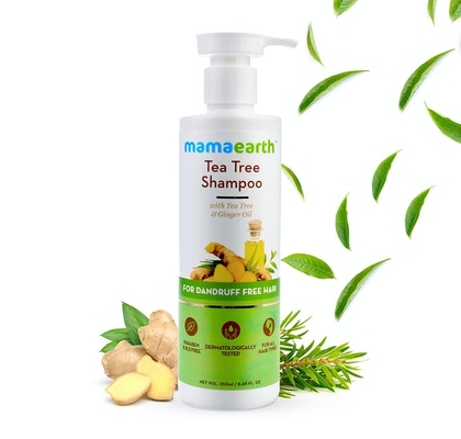 tea tree shampoo for dandruff free hair - 250ml